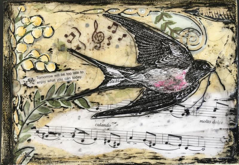 SwallowSongs